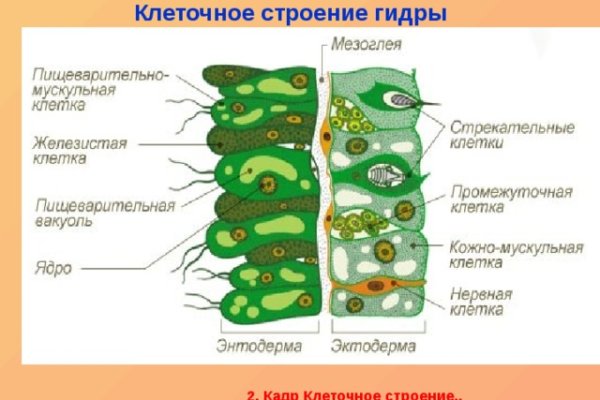 Mega fo ссылка